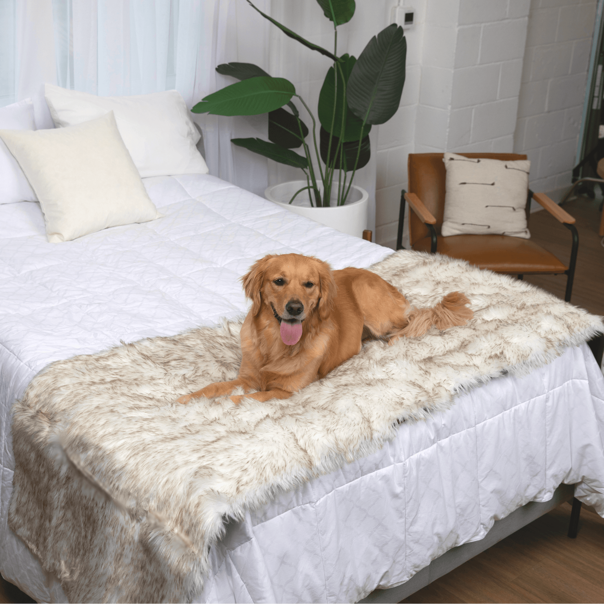 Pupprotector Waterproof Bed Runner White With Brown Accents - main product image