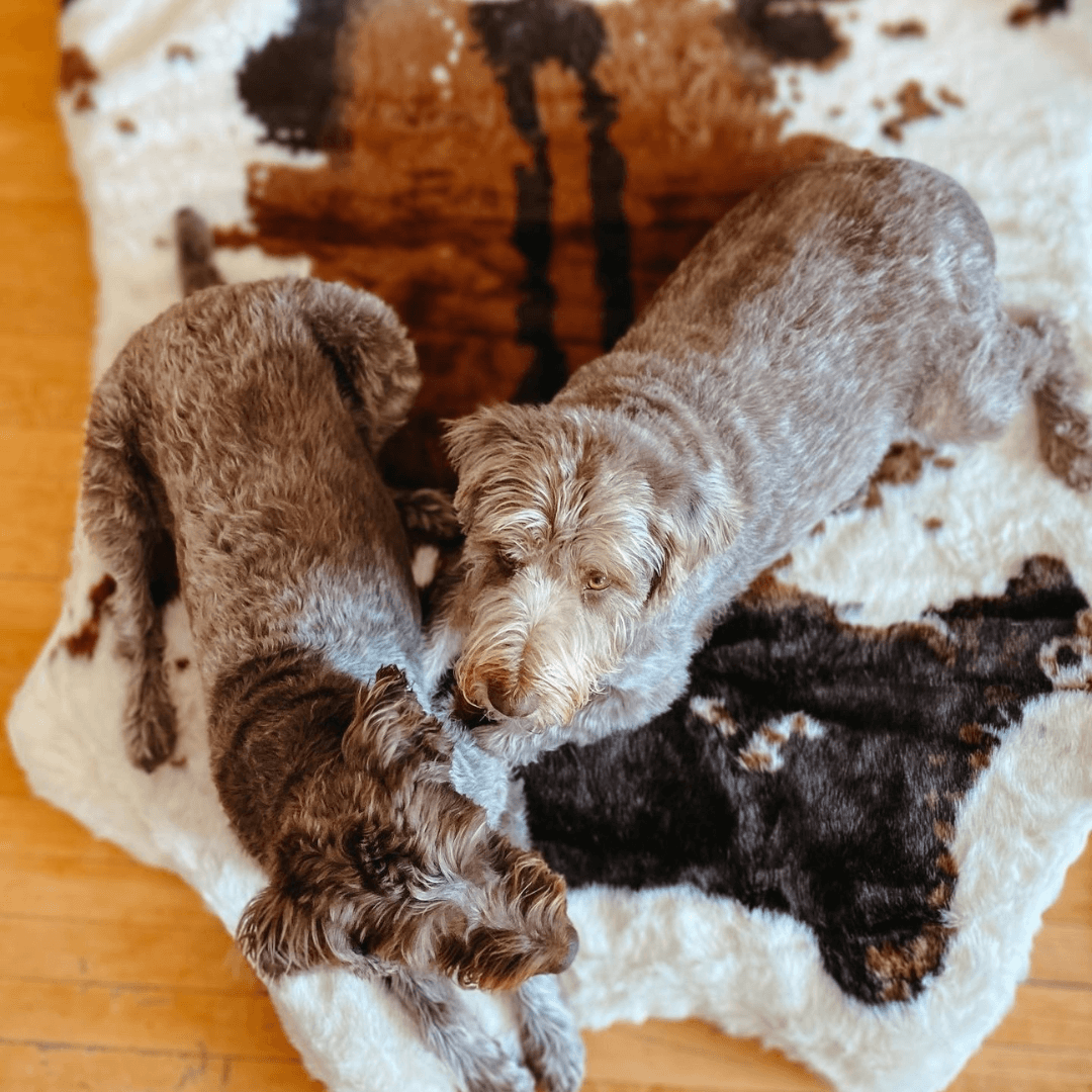 Memory Foam Dog Bed Faux Fur Brown Orthopedic Comfort Premiu - gallery image 8