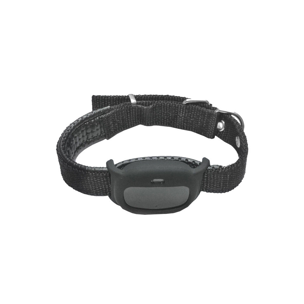 Miniature Abs Pet Collar Multifunctional Locator Dog Premium - lifestyle view