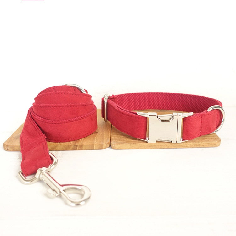 Pet Traction Dog Collar Adjustable Dog Walking Gear Premium - gallery image 7