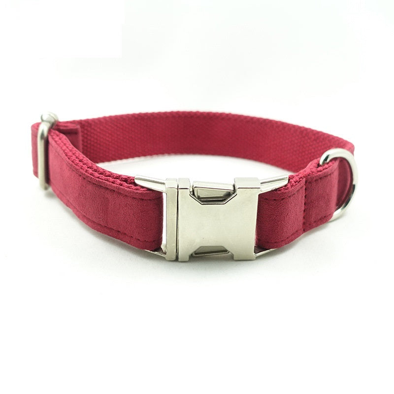 Pet Traction Dog Collar Adjustable Dog Walking Gear Premium - close up view