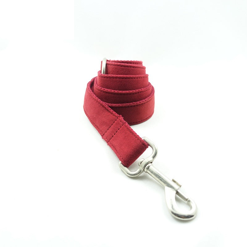 Pet Traction Dog Collar Adjustable Dog Walking Gear Premium - gallery image 9
