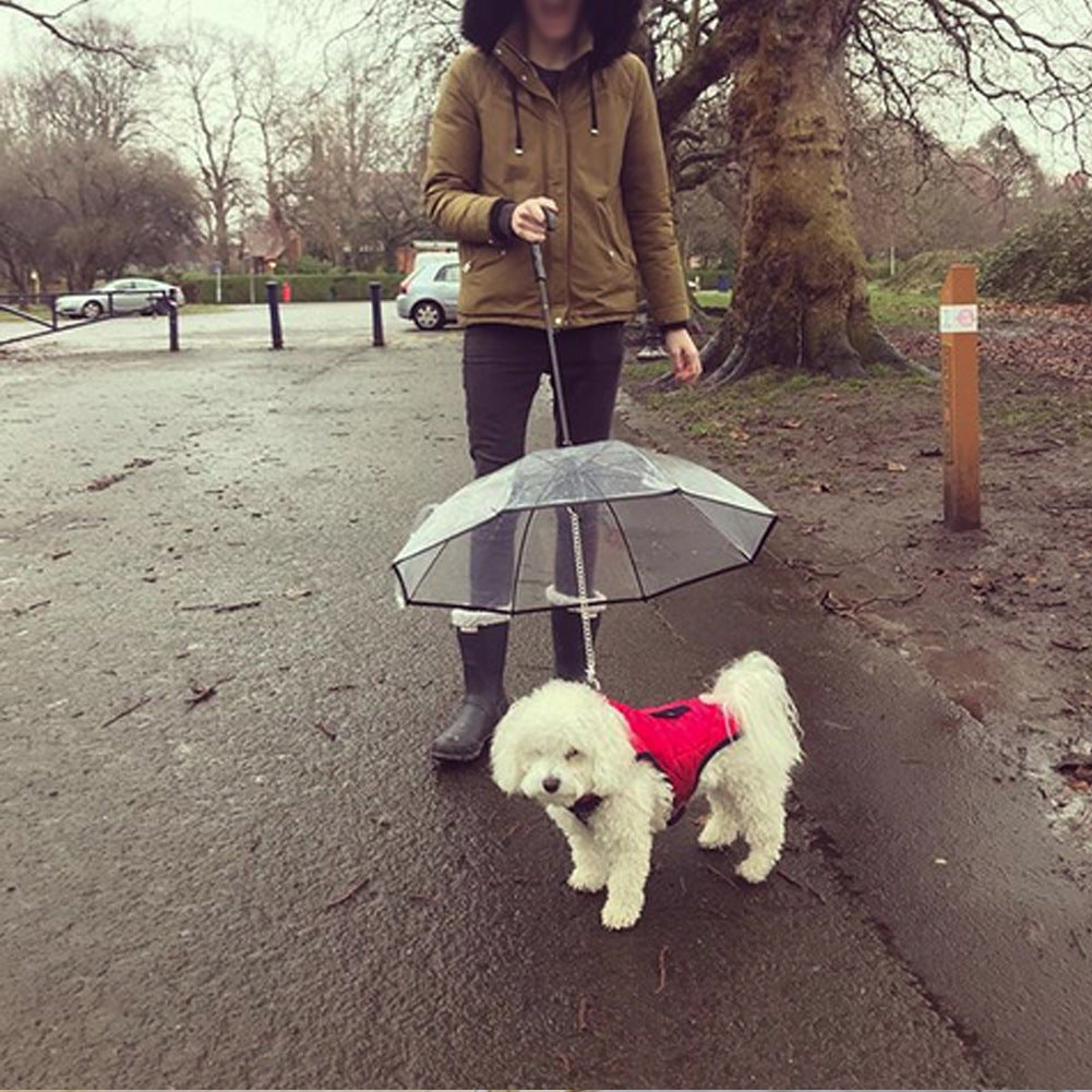 Transparent Pet Umbrella Dog Leash Adjustable Dog Walking - lifestyle view
