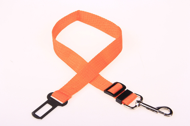 Fixed Strap Polyester Dog Strap Leash Adjustable Dog Walking - gallery image 8