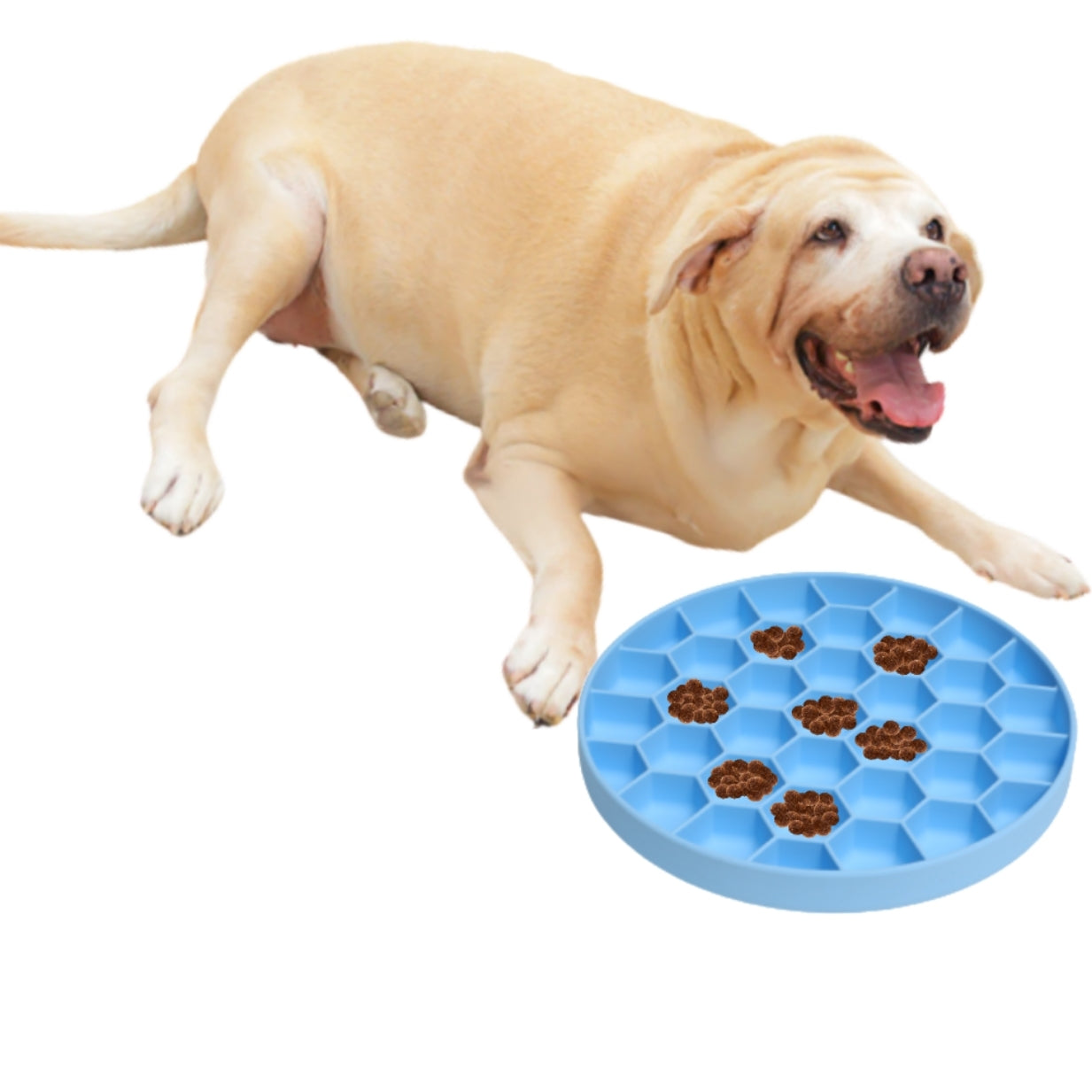 Mr. Peanut's Silicone Slow Feeder Dog Bowl - gallery image 9