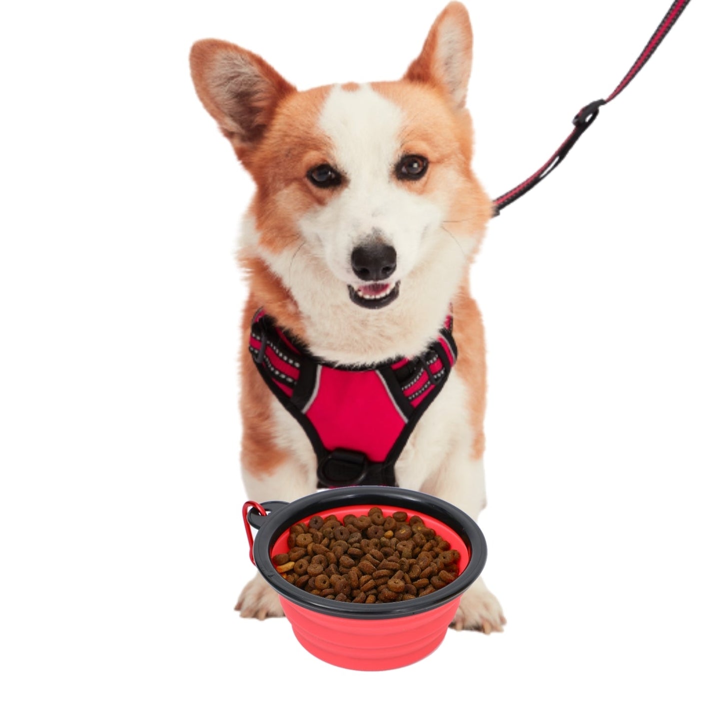 Collapsible Silicone Travel Bowls - 12oz - gallery image 14