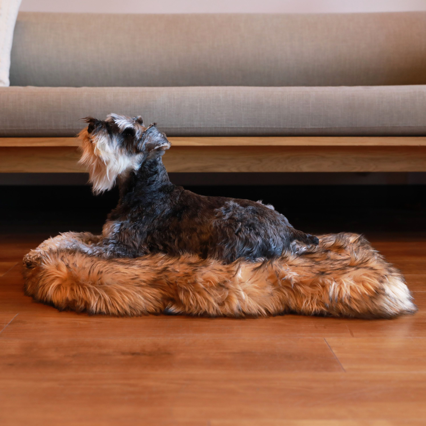 Memory Foam Dog Bed Faux Fur Sable Tan Orthopedic Comfort - gallery image 9