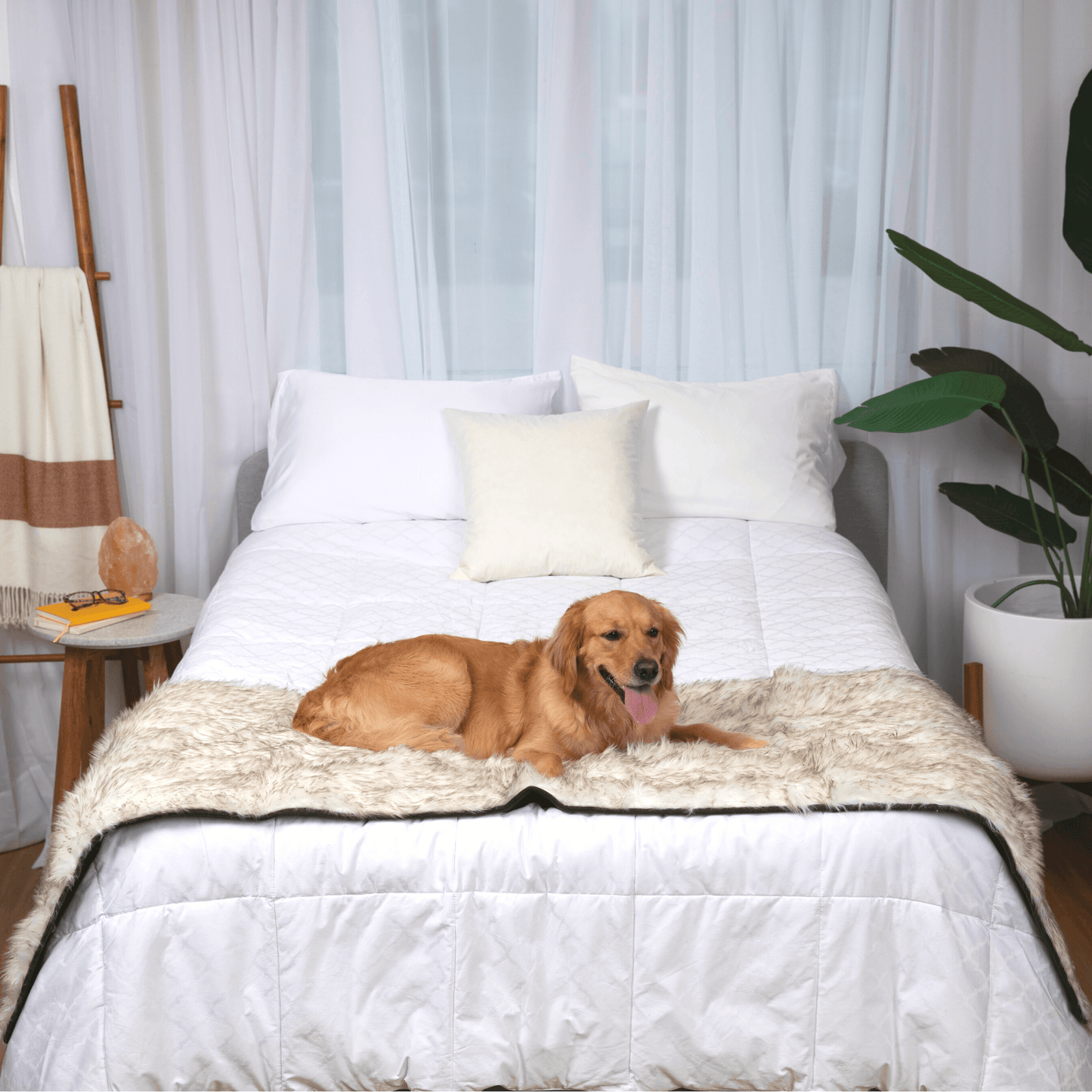 Pupprotector Waterproof Bed Runner White With Brown Accents - detail view