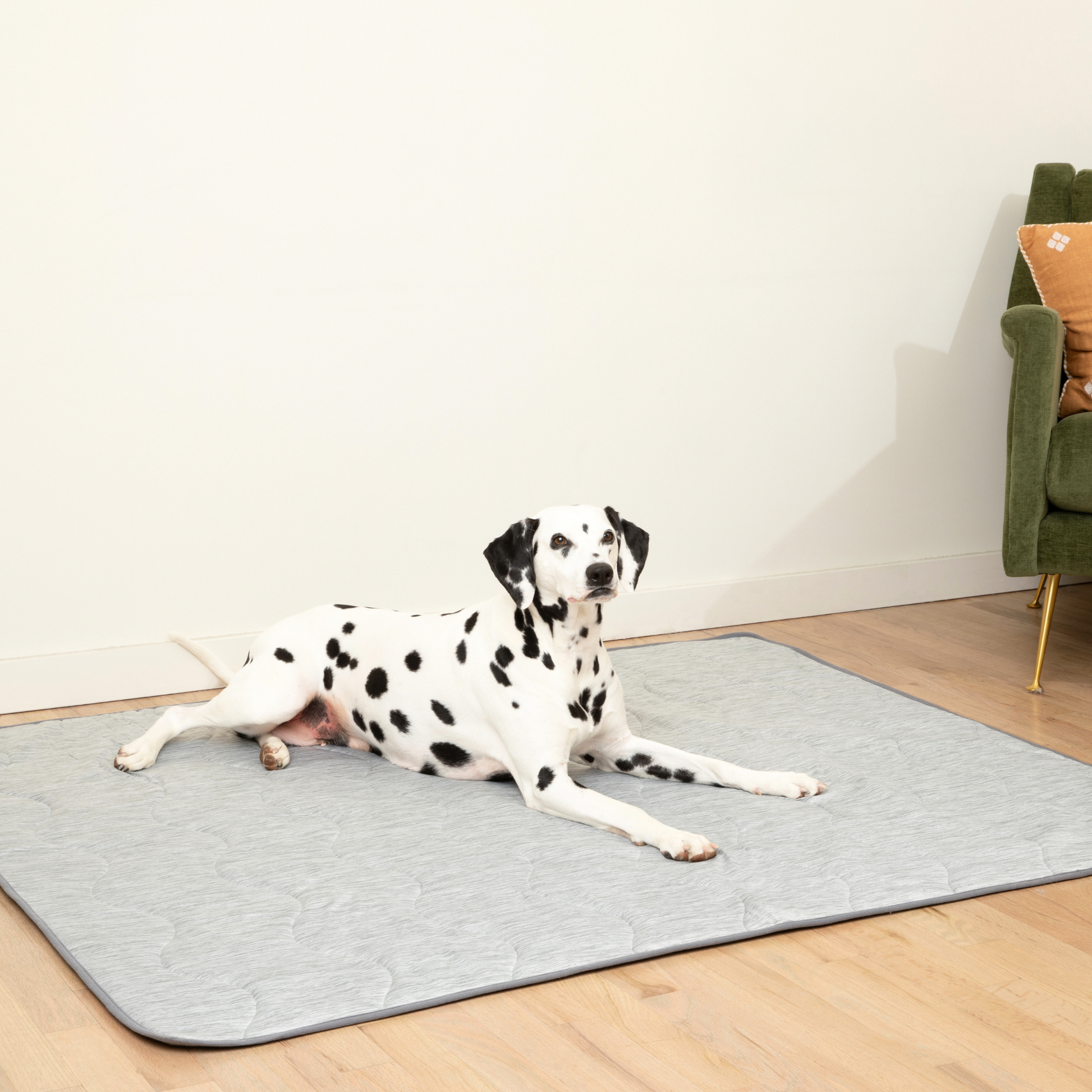Pupchill Cooling Waterproof Blanket Arctic Grey Washable - gallery image 13