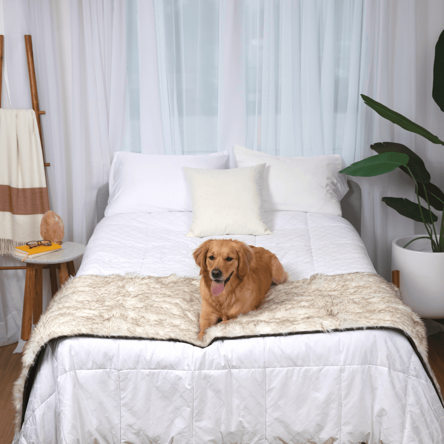 Pupprotector Waterproof Bed Runner White With Brown Accents - gallery image 7
