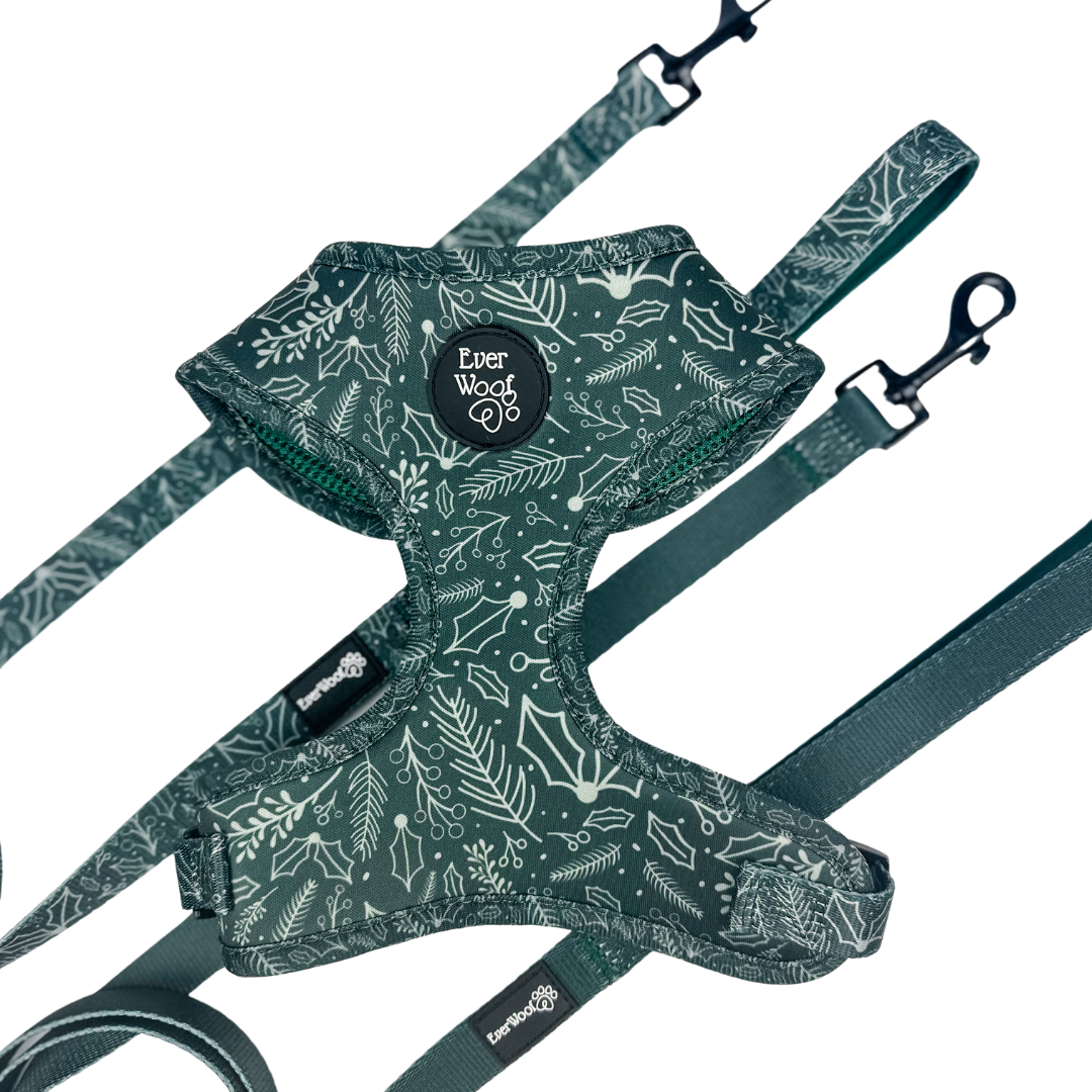 Pet Leash Leash Evergreen Dream Leashes for for Daily Use - close up product image for pet leash