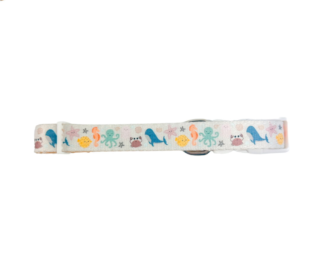 Pet Collar Collar Sea la vie Collar for for Daily Use Essent - detail product image for pet collar