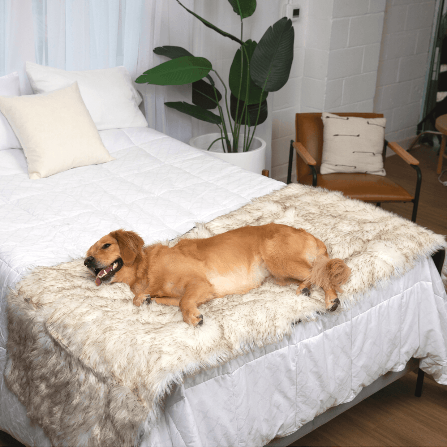 Pupprotector Waterproof Bed Runner White With Brown Accents - gallery image 5