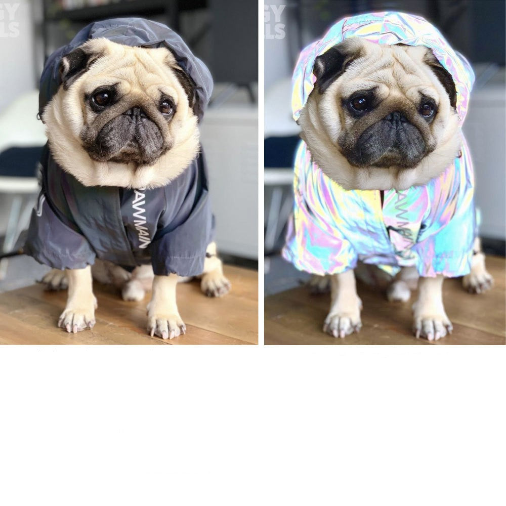 Windproof And Rainproof Stormtrooper Coat North Dog Face For - gallery image 5