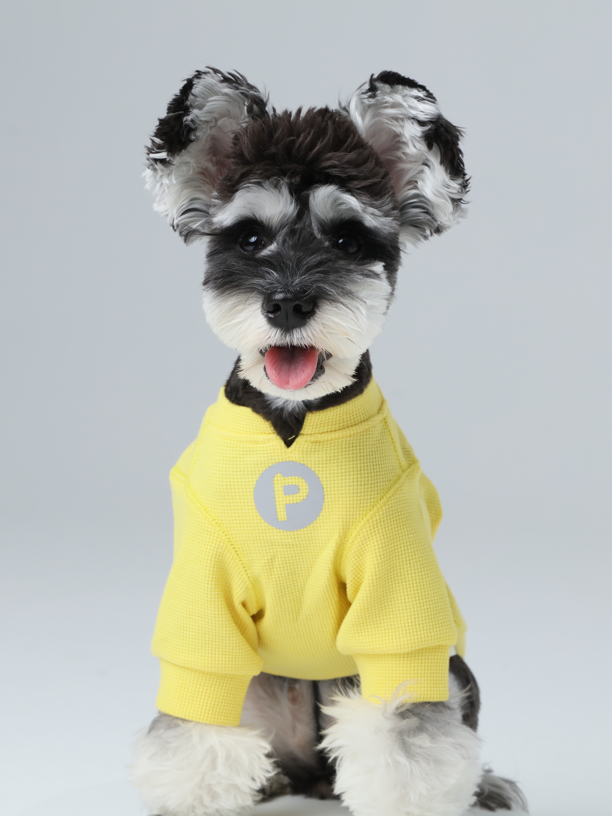 Embroidery Waffle T Shirt Yellow Dog Apparel Premium Pet - main product image
