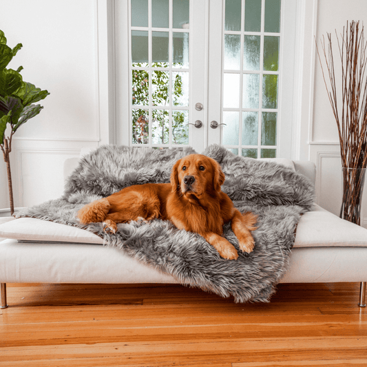 Pupprotector Waterproof Throw Blanket Charcoal Grey Pet Bed - main product image