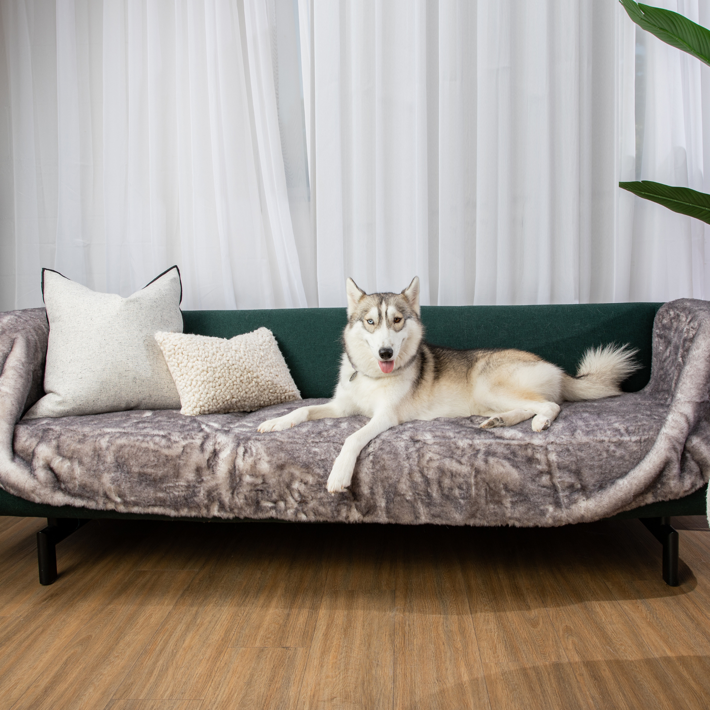 Pupprotector Luxe Waterproof Bed Runner Ultra Soft Washable - gallery image 16