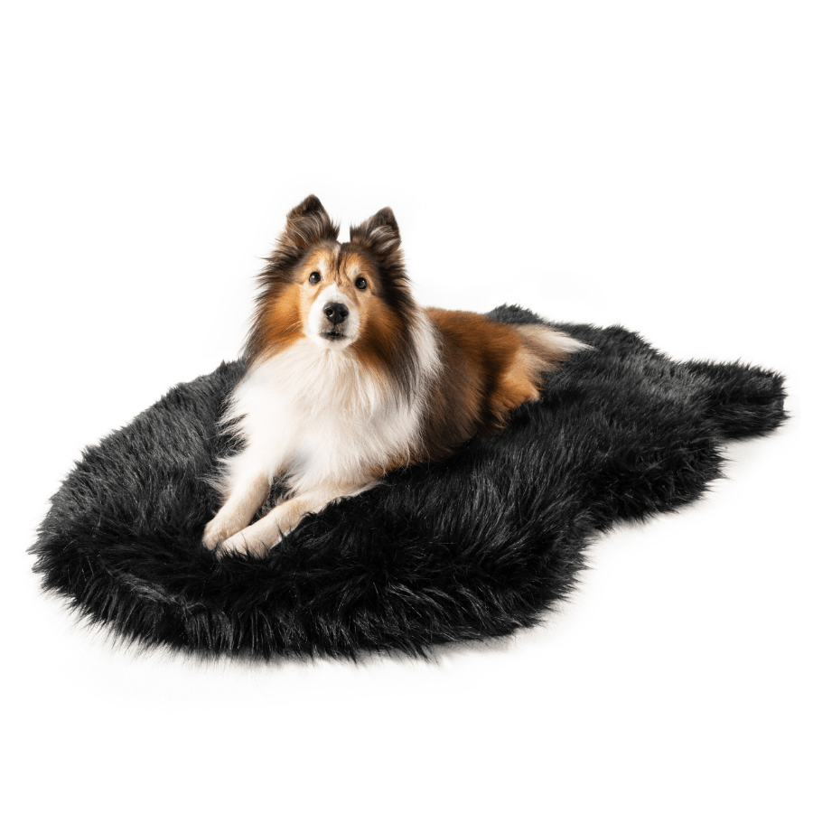 Memory Foam Dog Bed Faux Fur Midnight Black Orthopedic Comfo - lifestyle view