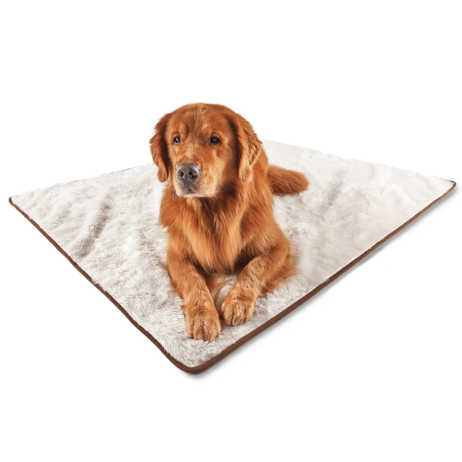 Pupprotector Summer Short Fur Waterproof Throw Blanket Pet - gallery image 6