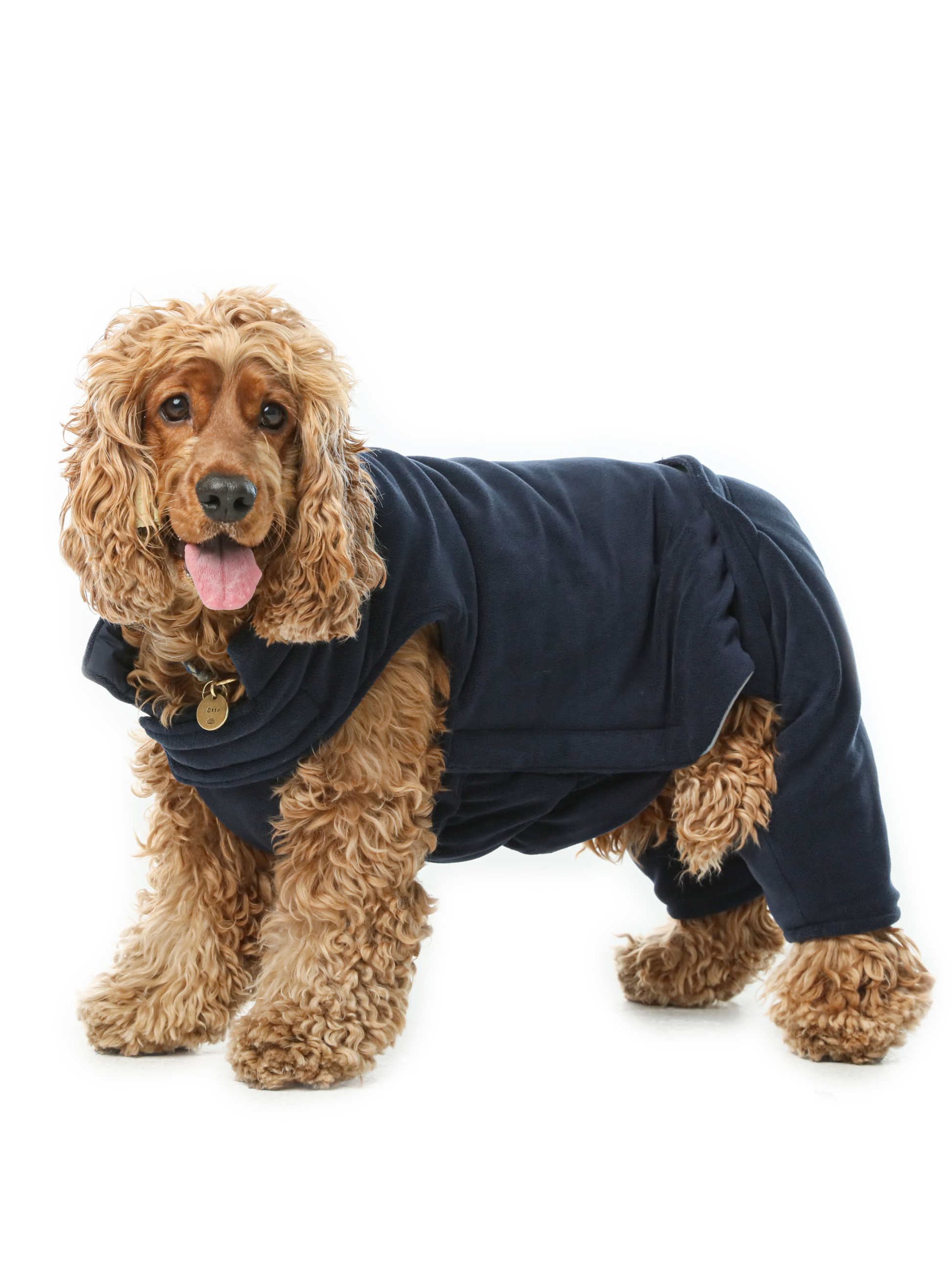 Reversible Dog Vest Jacket Blue Dog Apparel Premium Pet - close up view