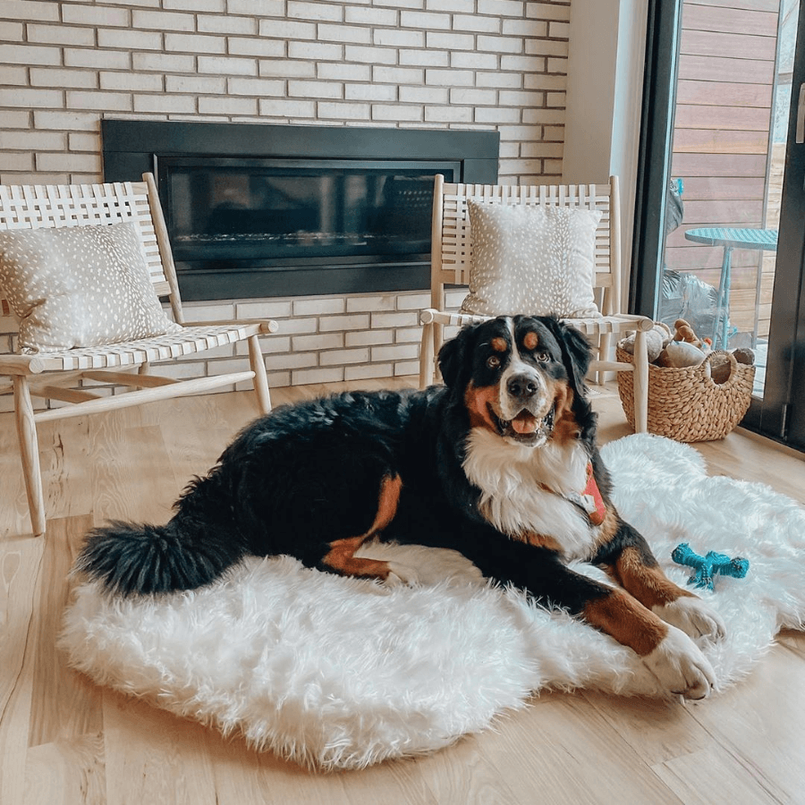 Memory Foam Dog Bed Faux Fur Polar White Orthopedic Comfort - close up view