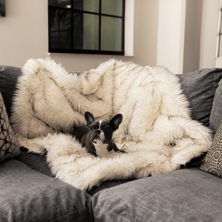 Pupprotector Waterproof Throw Blanket White With Brown Pet - close up view