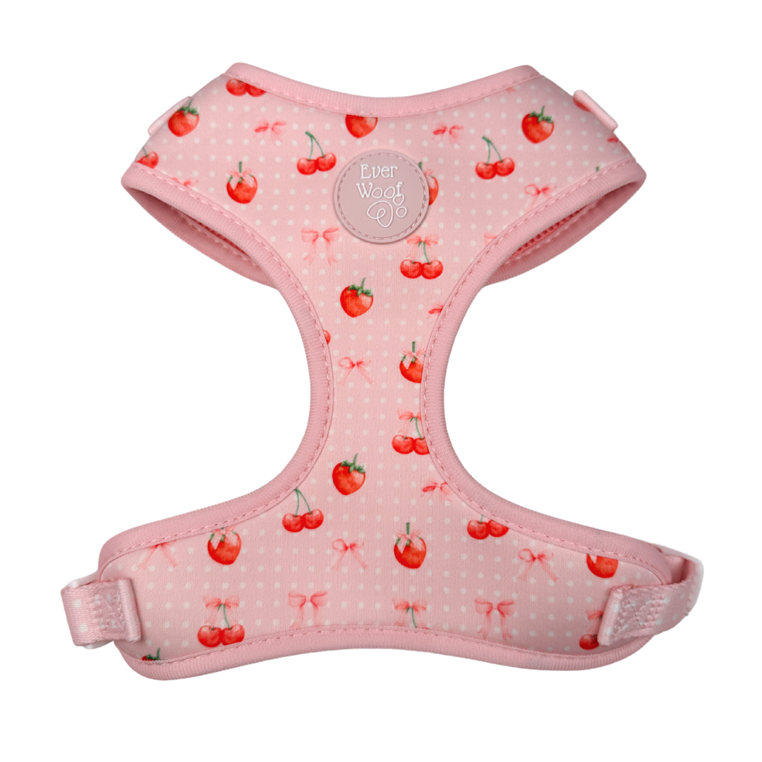 Pet Harness Harness Sweet Chrie Adjustable Harness Essential - main product image for pet harness