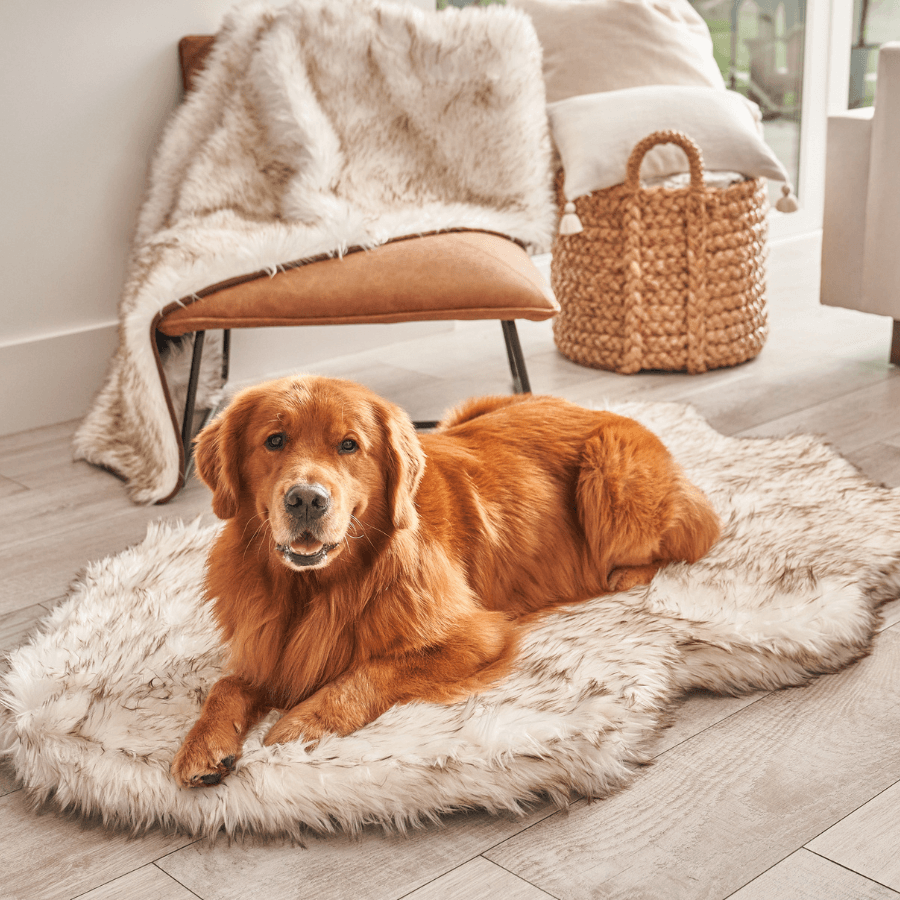 Puprug By Faux Fur Orthopedic Dog Bed Curve White - gallery image 9