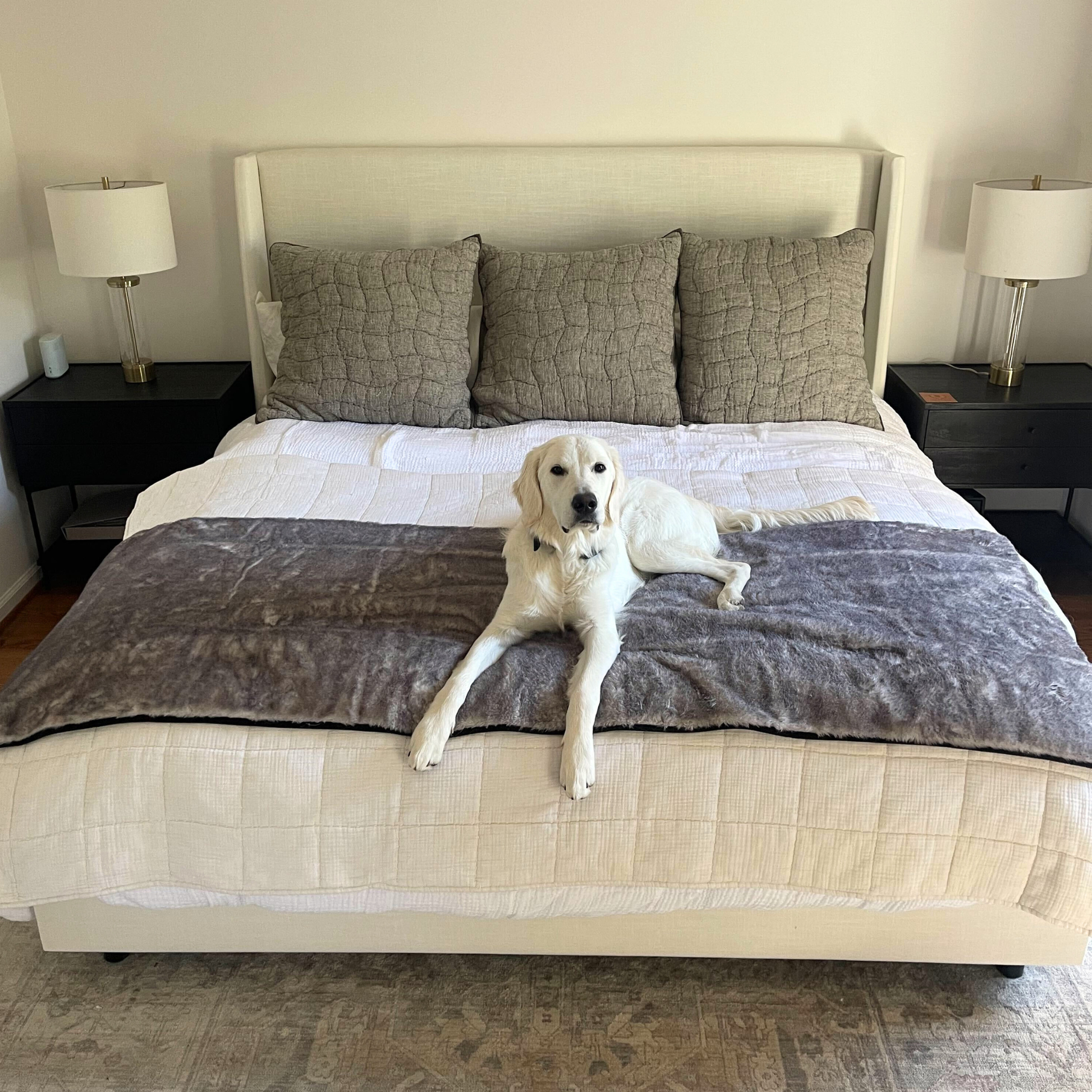 Pupprotector Luxe Waterproof Bed Runner Ultra Soft Washable - lifestyle view