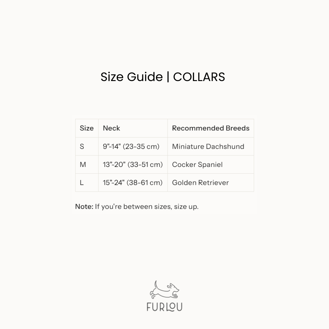 Dog Collars 'Yellow' Velvet Dog Collar Premium Pet Supply - lifestyle view