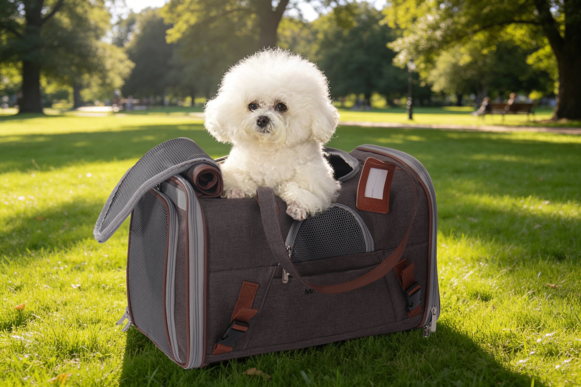 Mr. Peanut's Gold Series Standard Size Airline Compliant Pet Carrier V3.0 - gallery image 13
