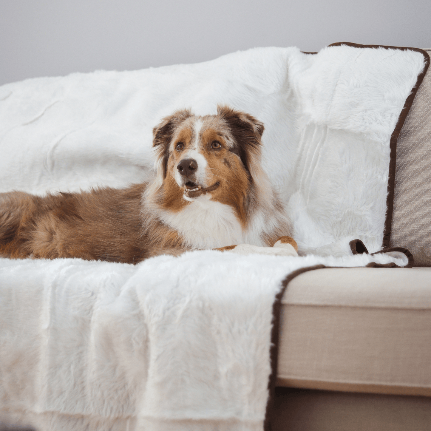 Pupprotector Summer Short Fur Waterproof Throw Blanket Pet - lifestyle view