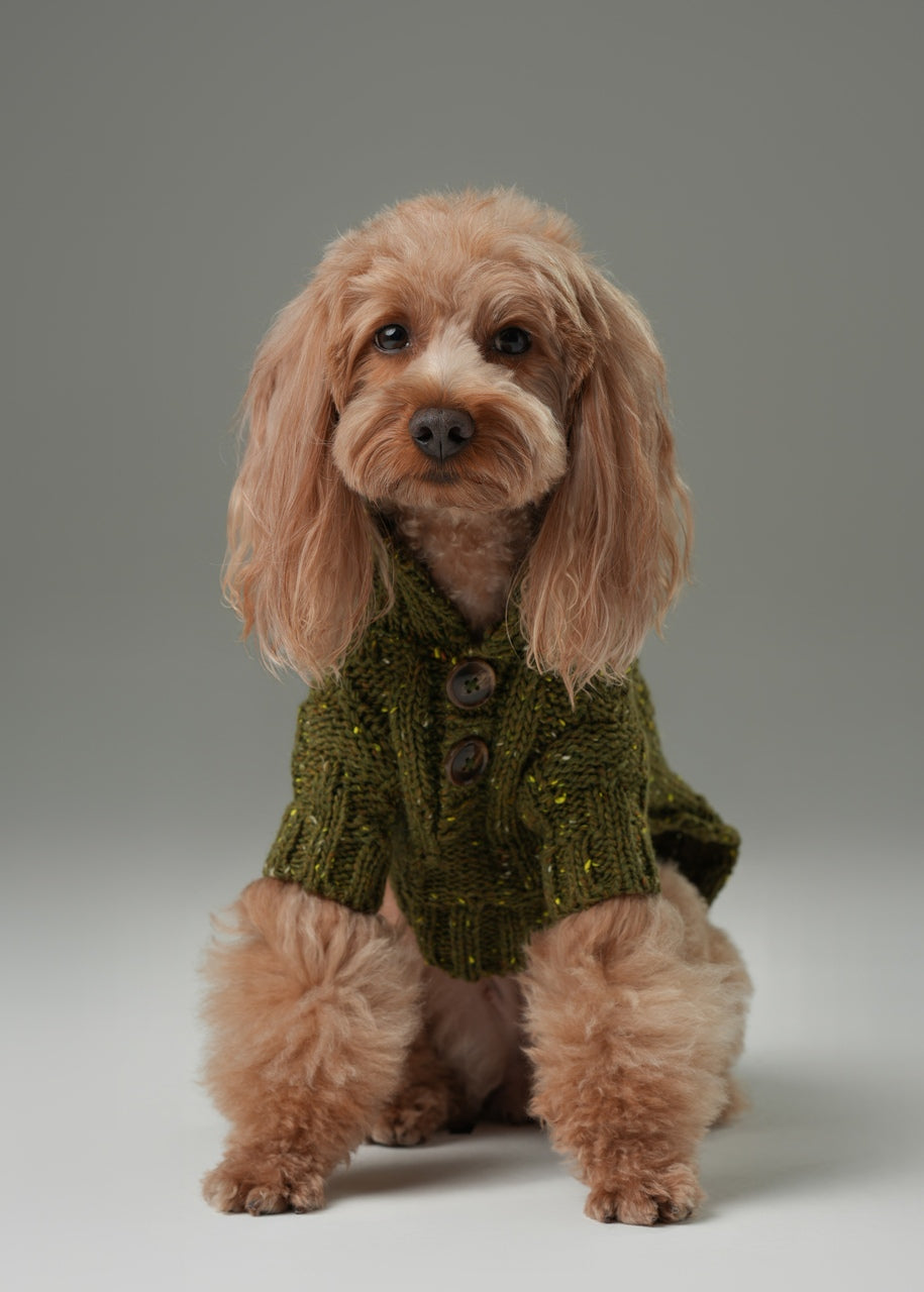 Glacier Pet Sweater Olive Green Dog Sweaters Premium Pet - gallery image 5