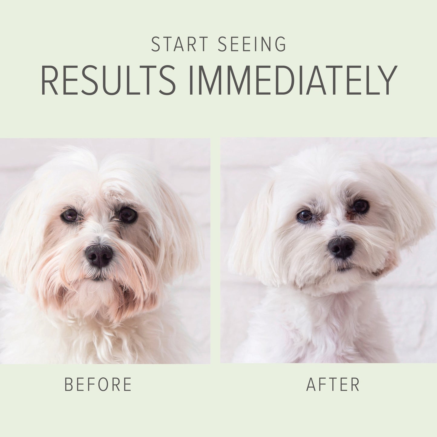Pet Grooming Supplies 2 in 1 Whitening and Brightening Shamp - close up view