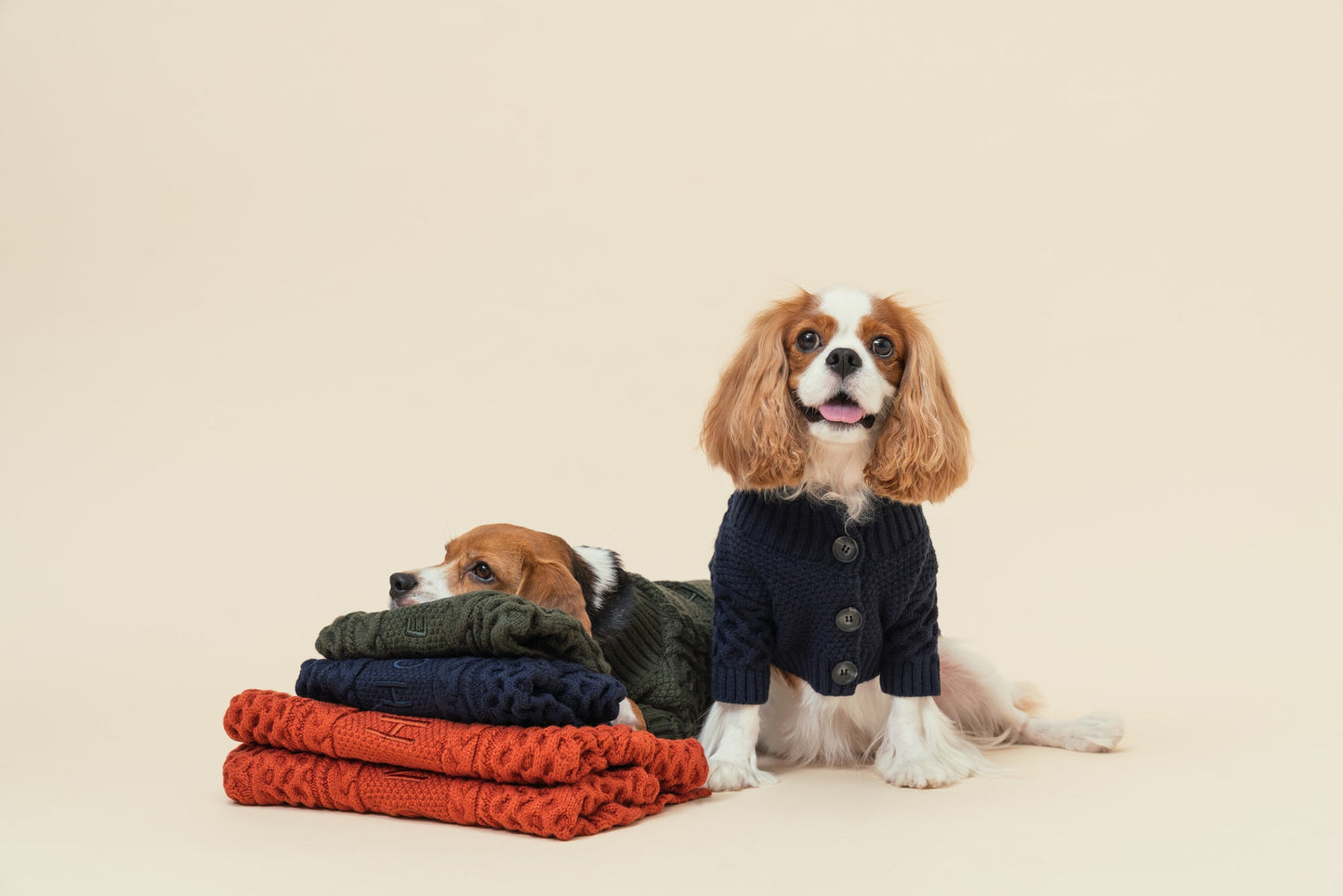 Bert Cardigan Sweater Dark Green Dog Apparel Premium Pet - close up view