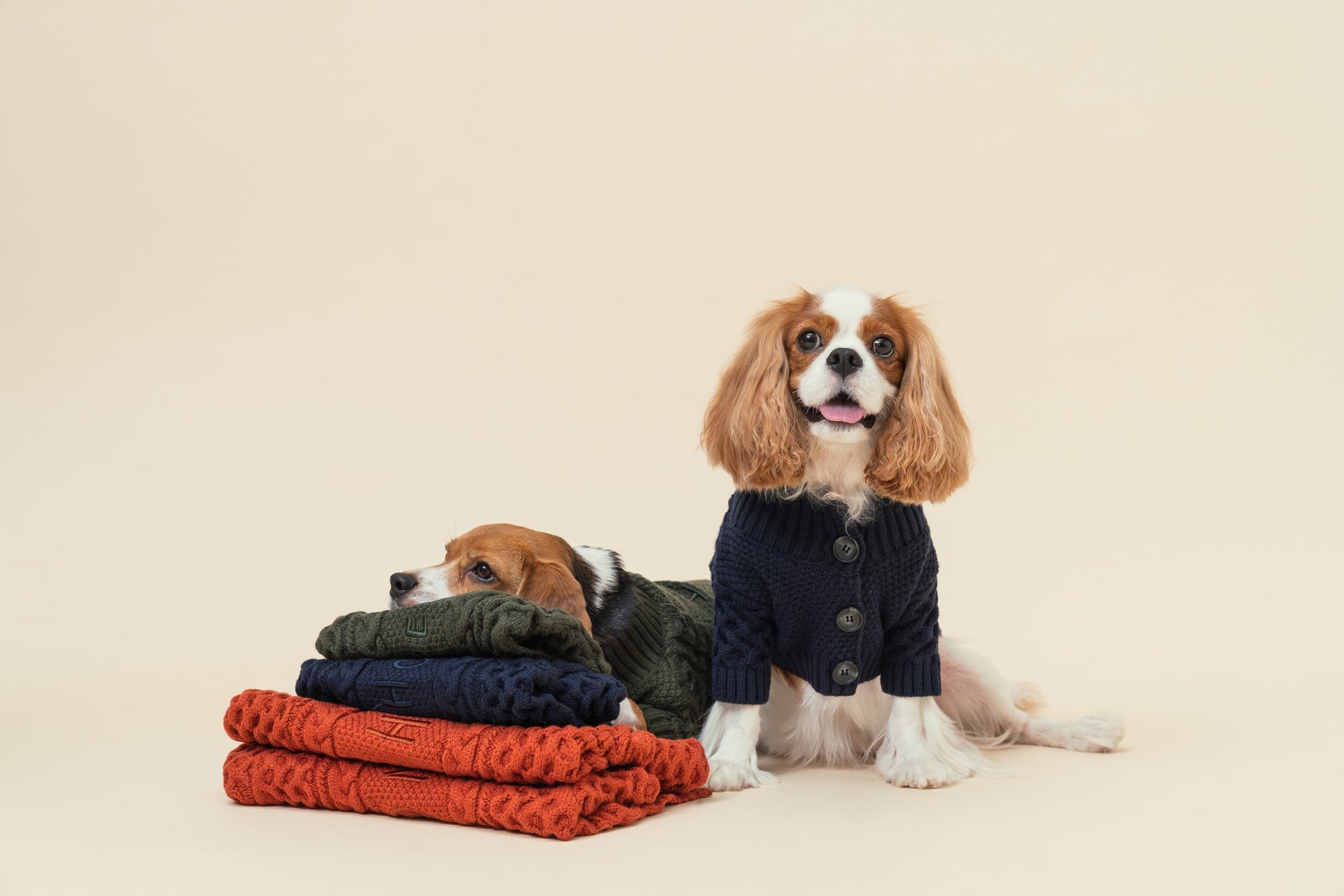 Bert Cardigan Sweater Dark Green Dog Apparel Premium Pet - close up view