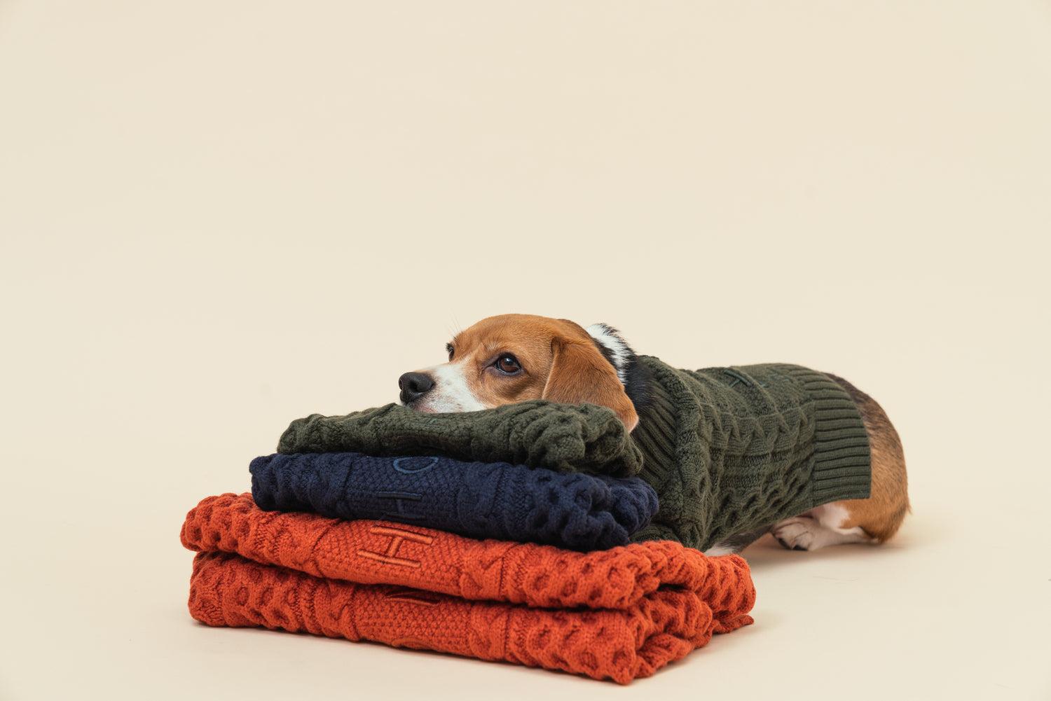 Bert Cardigan Sweater Dark Green Dog Apparel Premium Pet - gallery image 7