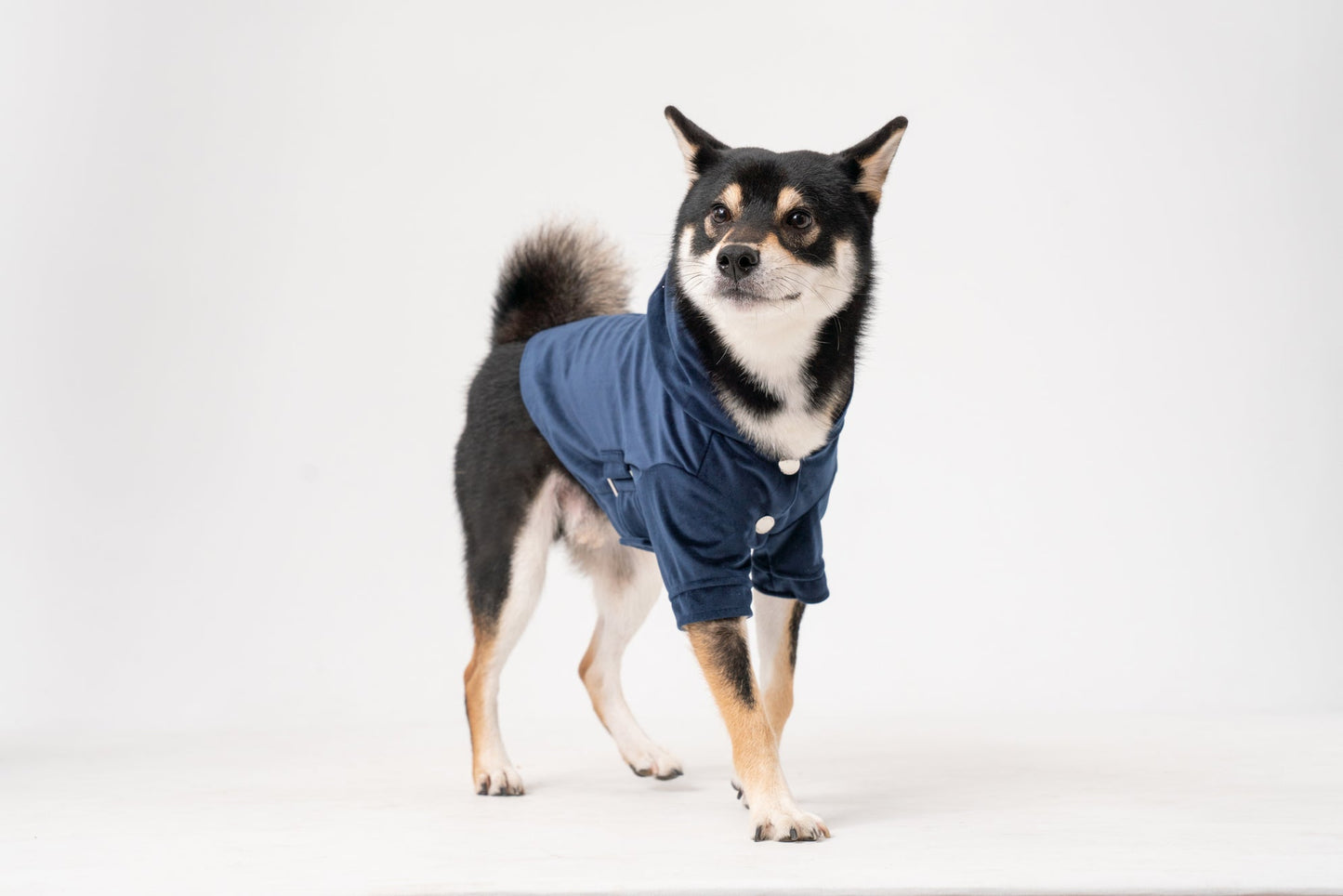 Huston Hoodie Midnight Blue Dog Apparel Premium Pet Supply - close up view
