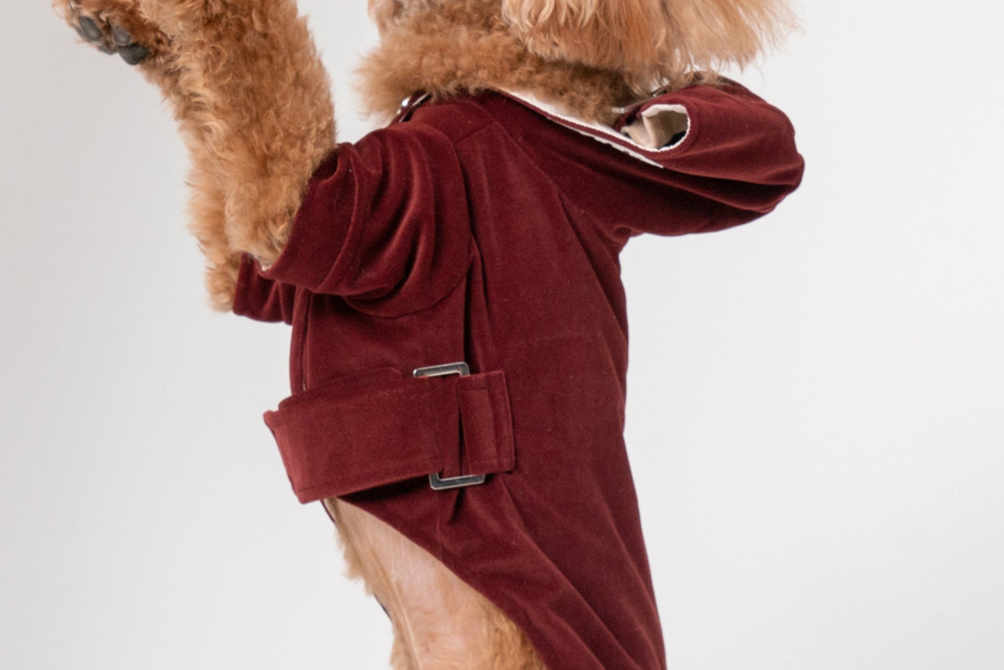 Huston Hoodie Dark Burgundy Dog Apparel Premium Pet Supply - gallery image 8