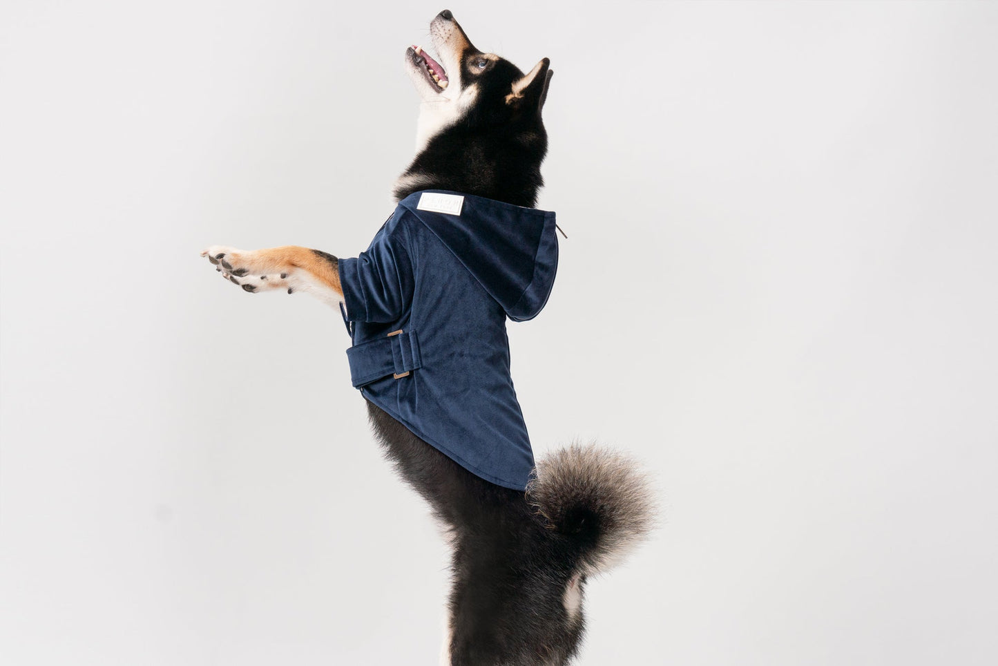 Huston Hoodie Midnight Blue Dog Apparel Premium Pet Supply - gallery image 7