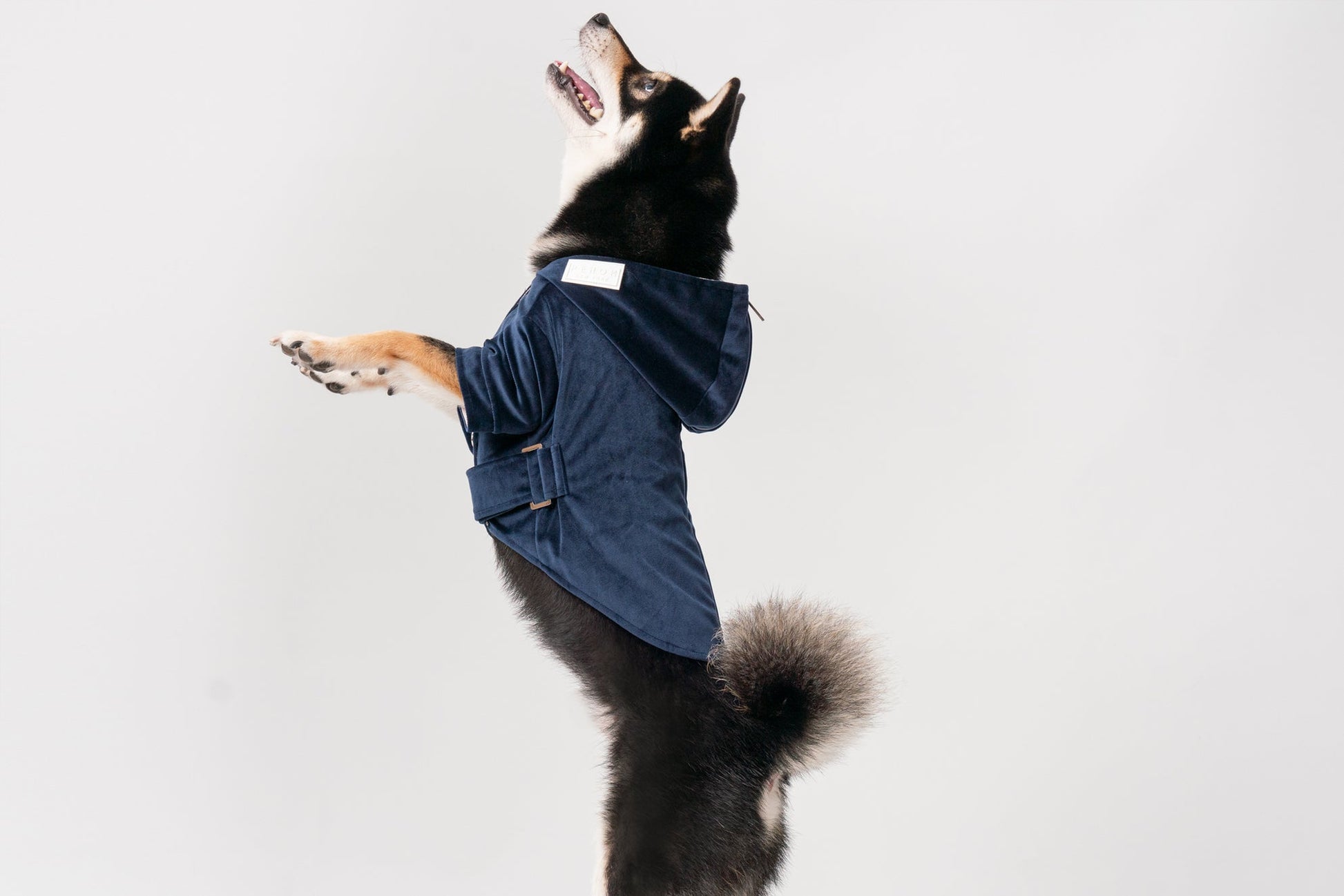 Huston Hoodie Midnight Blue Dog Apparel Premium Pet Supply - gallery image 7