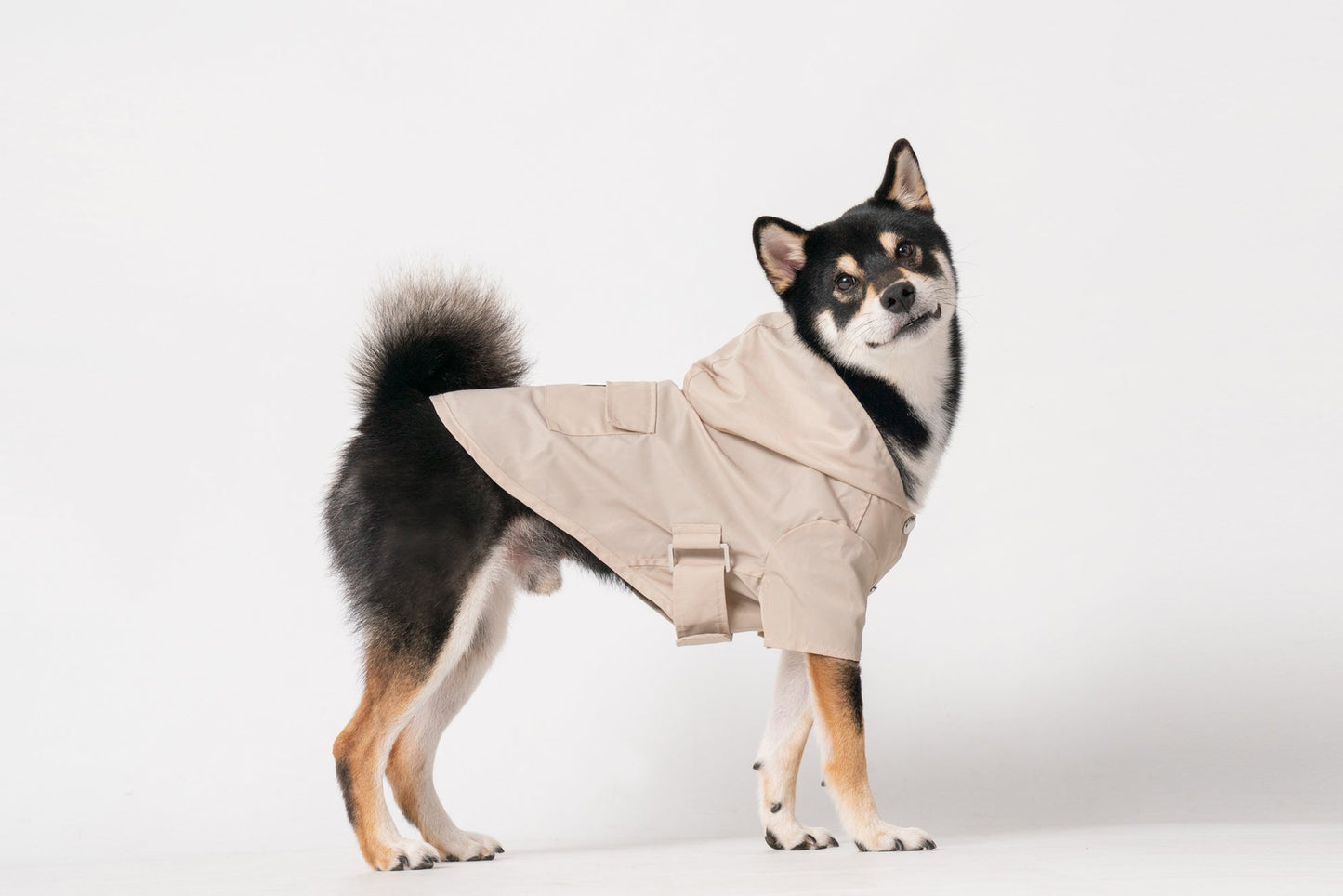 Bowery Raincoat Beige Dog Apparel Premium Pet Supply Premium - detail view