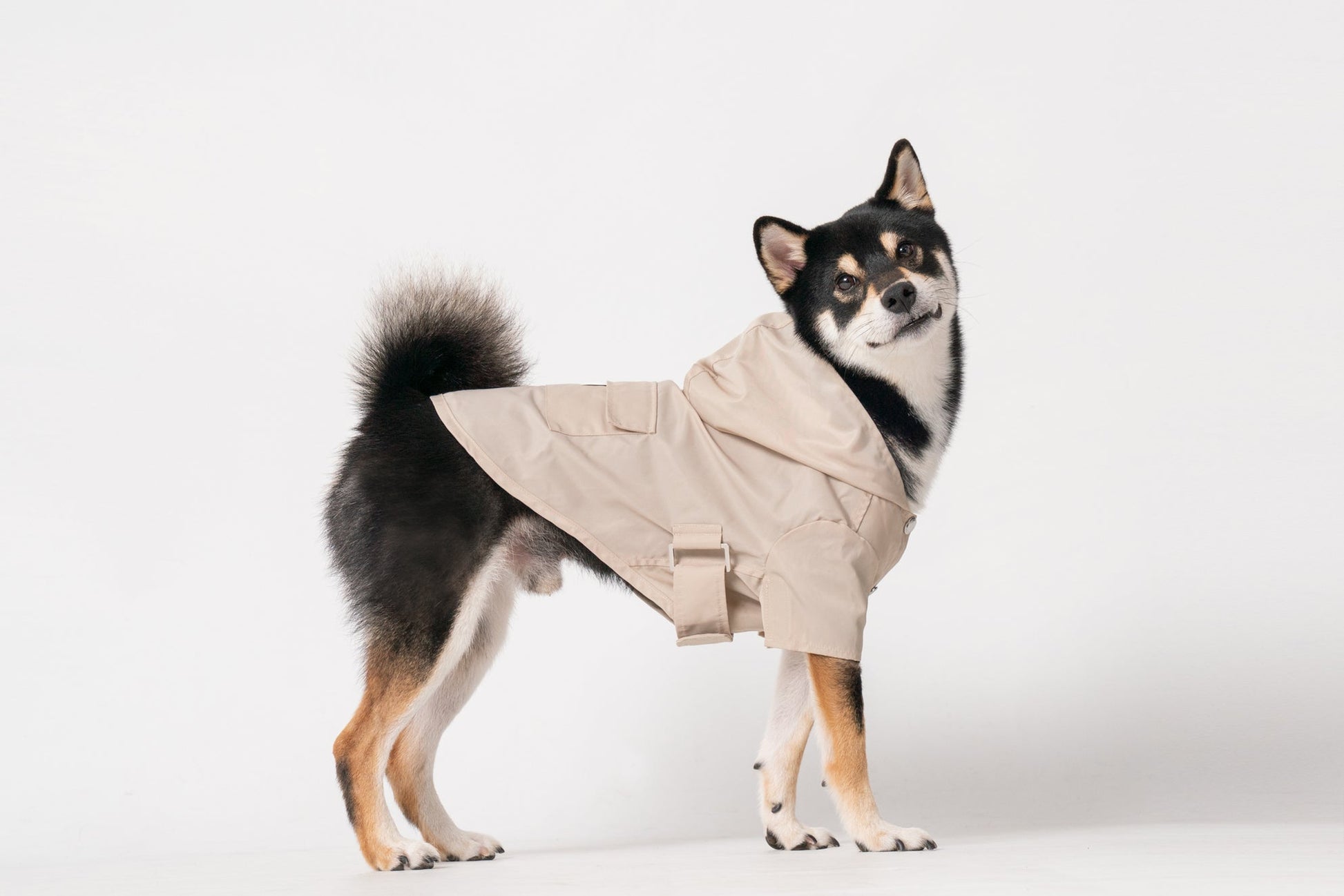 Bowery Raincoat Beige Dog Apparel Premium Pet Supply Premium - detail view