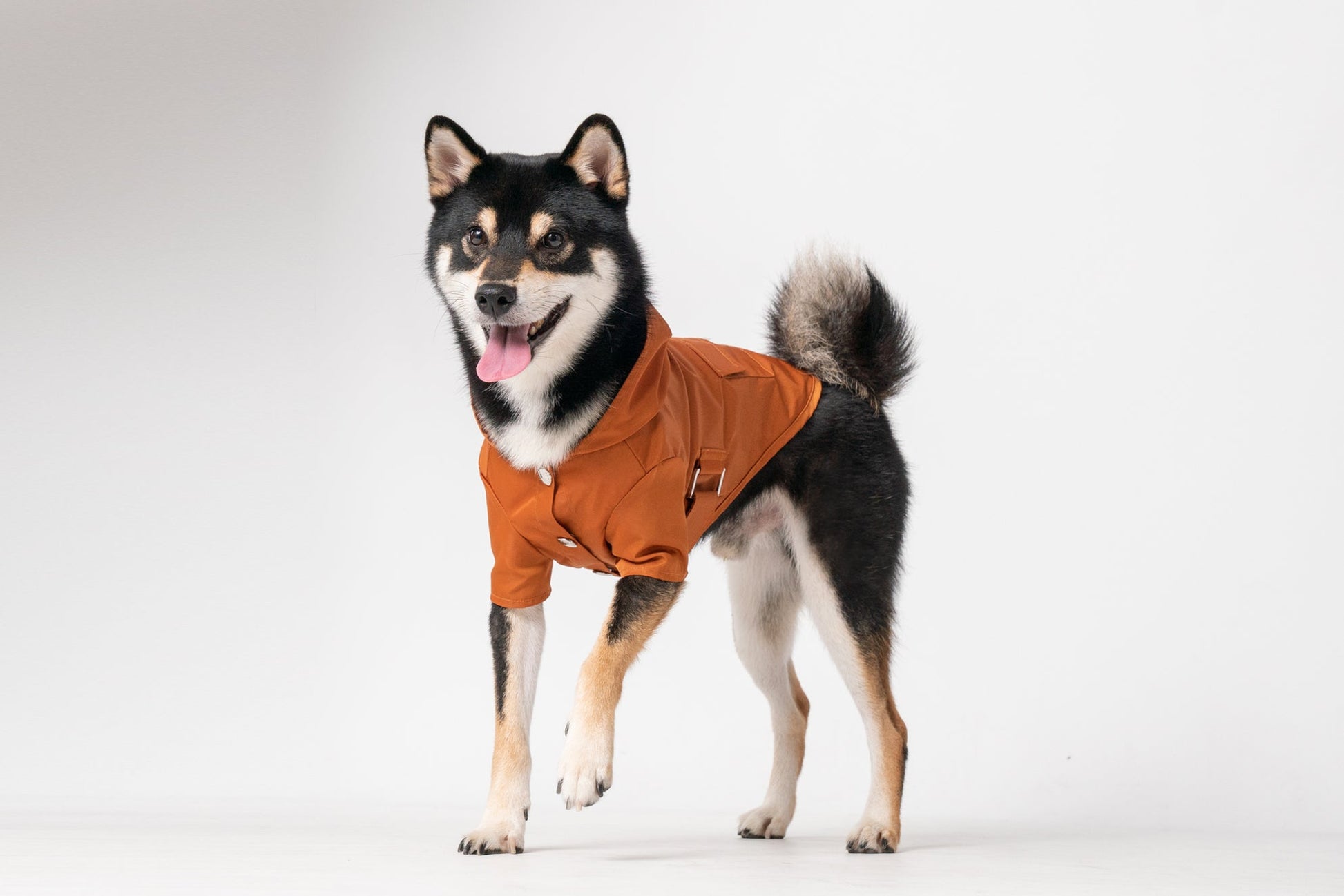 Bowery Raincoat Orange Dog Apparel Premium Pet Supply - close up view