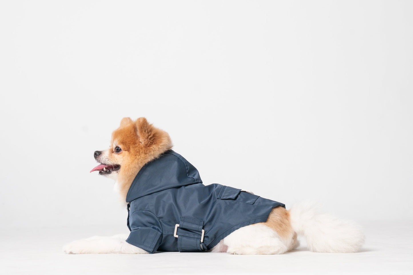 Bowery Raincoat Blue Dog Apparel Premium Pet Supply Premium - lifestyle view
