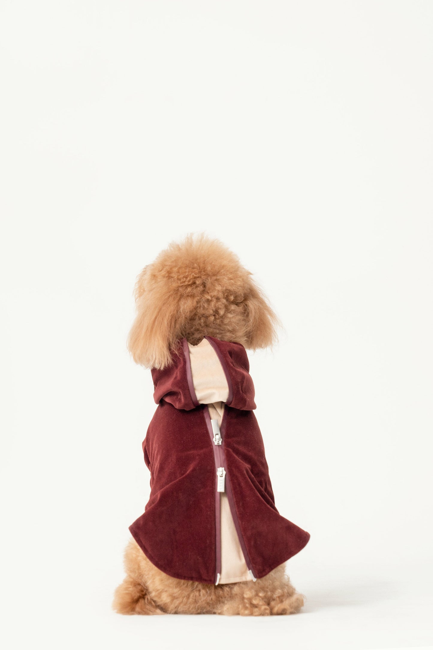 Huston Hoodie Dark Burgundy Dog Apparel Premium Pet Supply - close up view