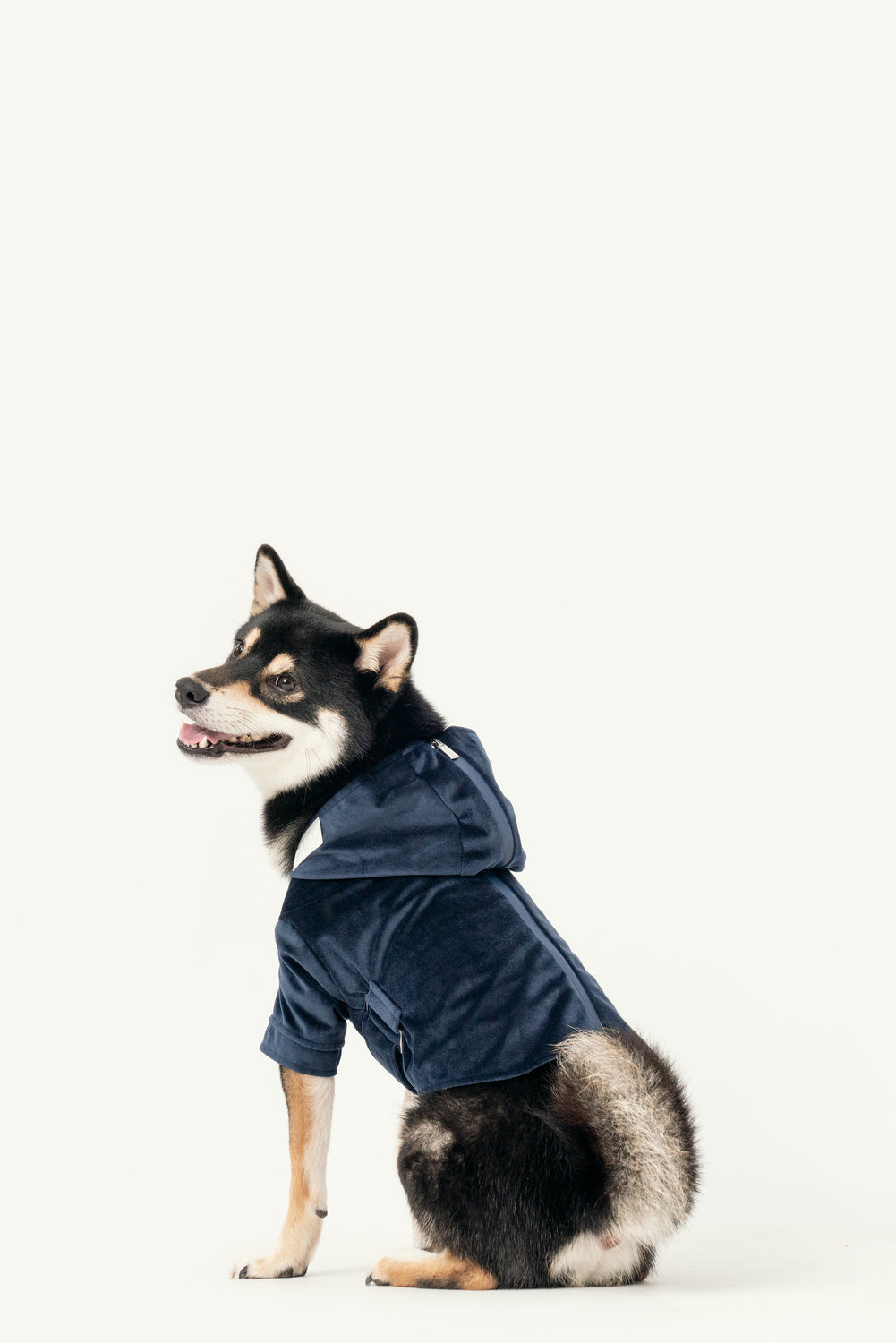 Huston Hoodie Midnight Blue Dog Apparel Premium Pet Supply - gallery image 6