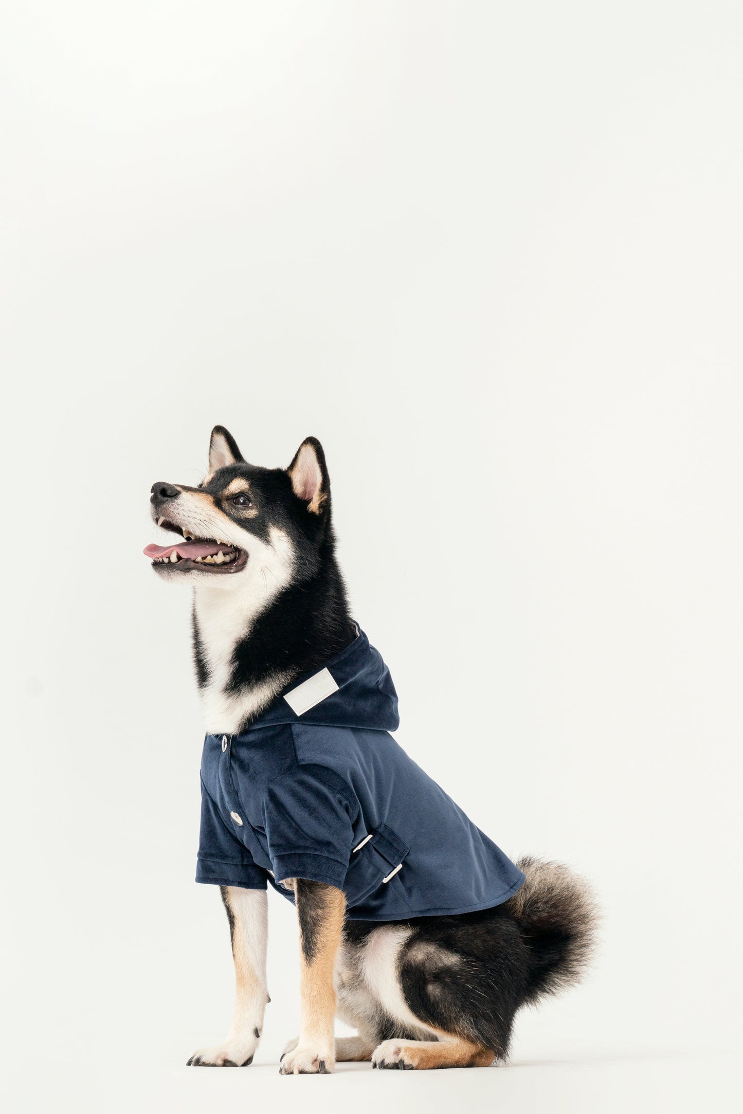 Huston Hoodie Midnight Blue Dog Apparel Premium Pet Supply - gallery image 5