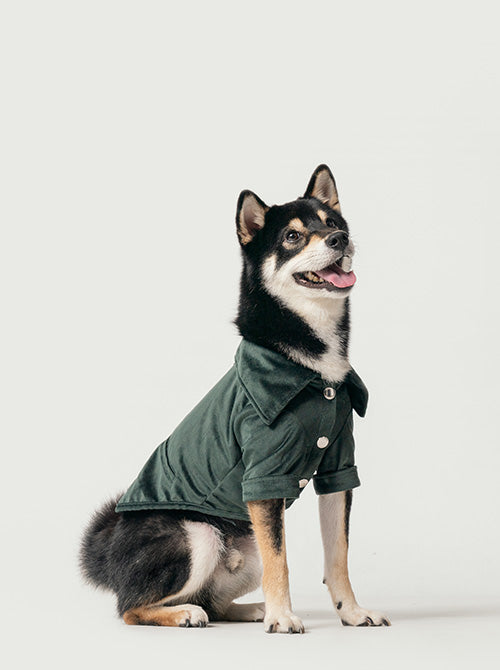 Stainway Shirt Green Dog Apparel Premium Pet Supply Premium - main product image