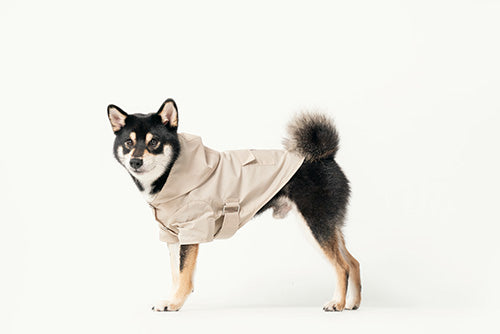 Bowery Raincoat Beige Dog Apparel Premium Pet Supply Premium - lifestyle view